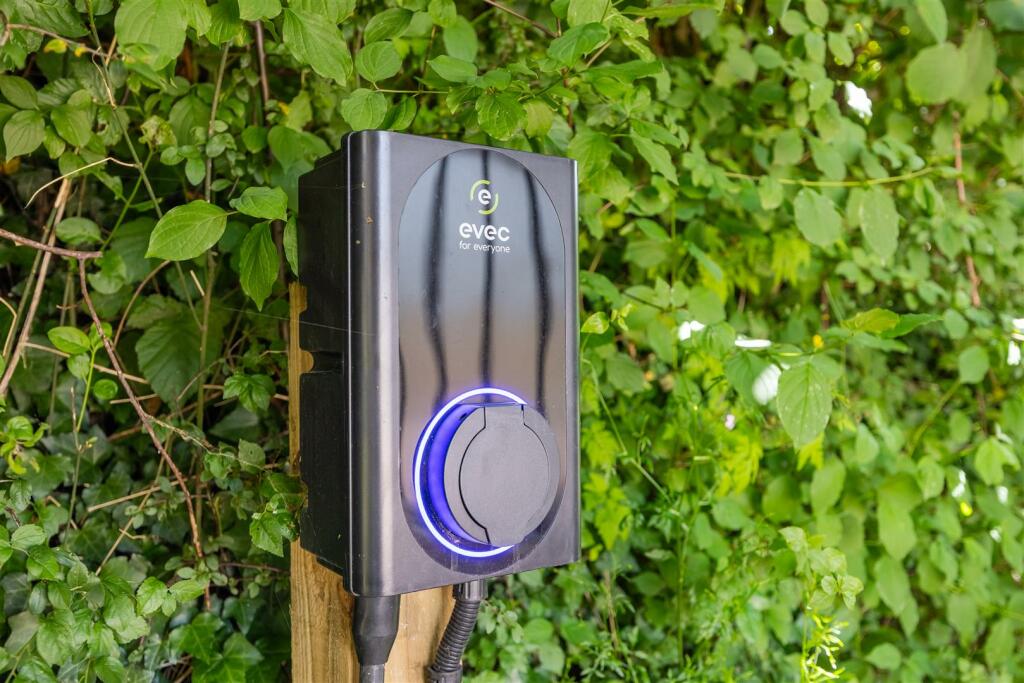 Apple Orchard Staverton-42.jpg