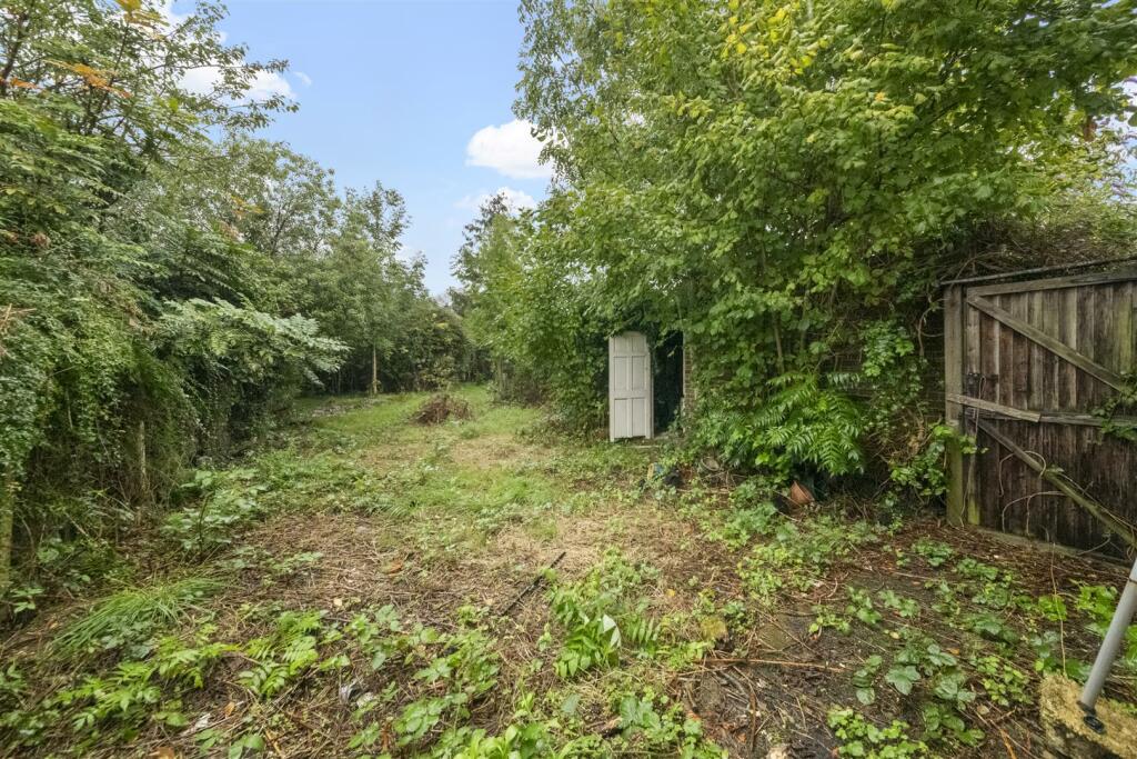 Garden 2.JPG