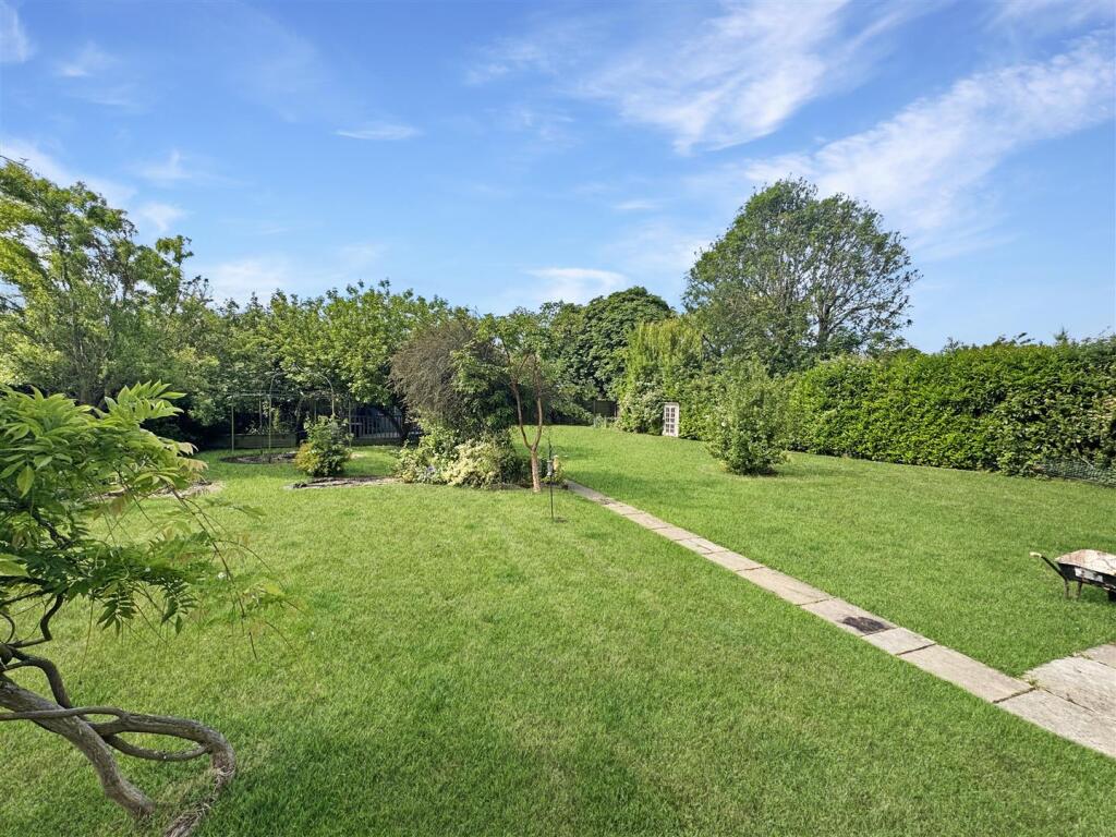Plot Image