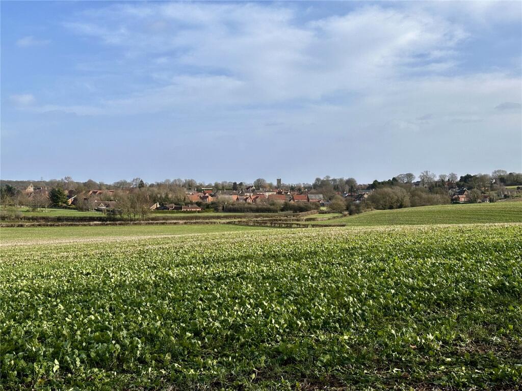 Views Of The Village