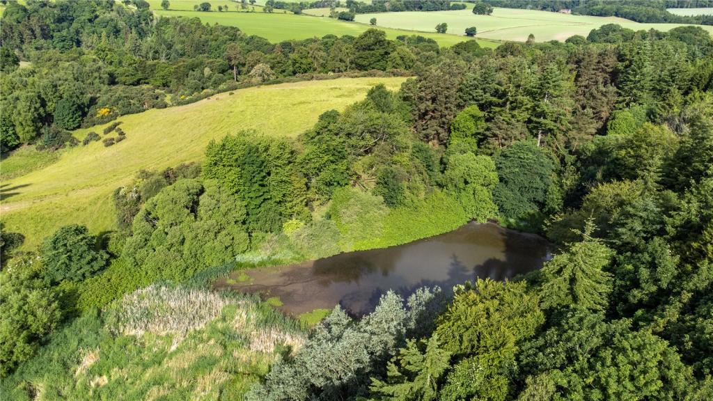 Loch Picture