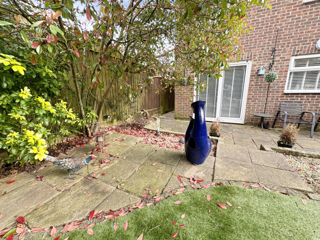 image00004dp