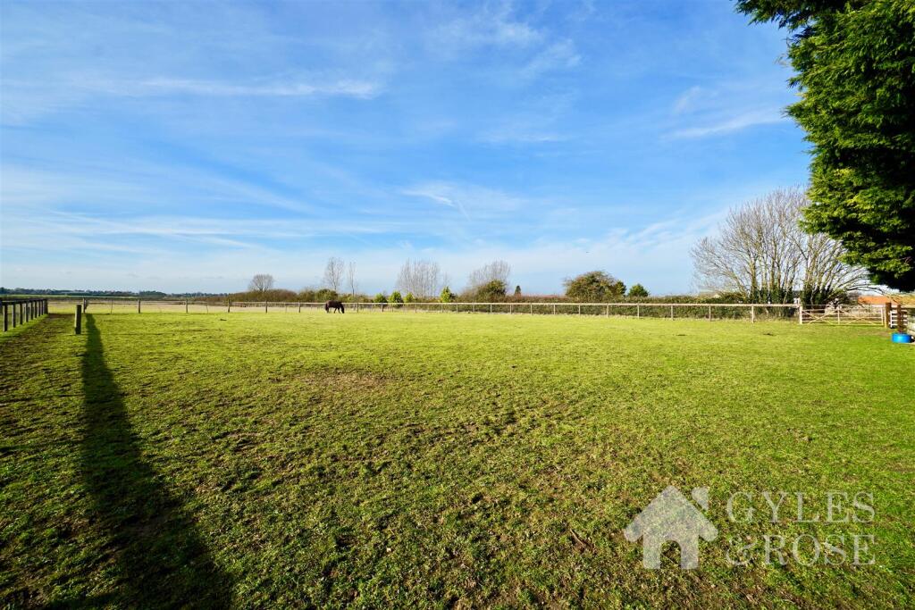 Field