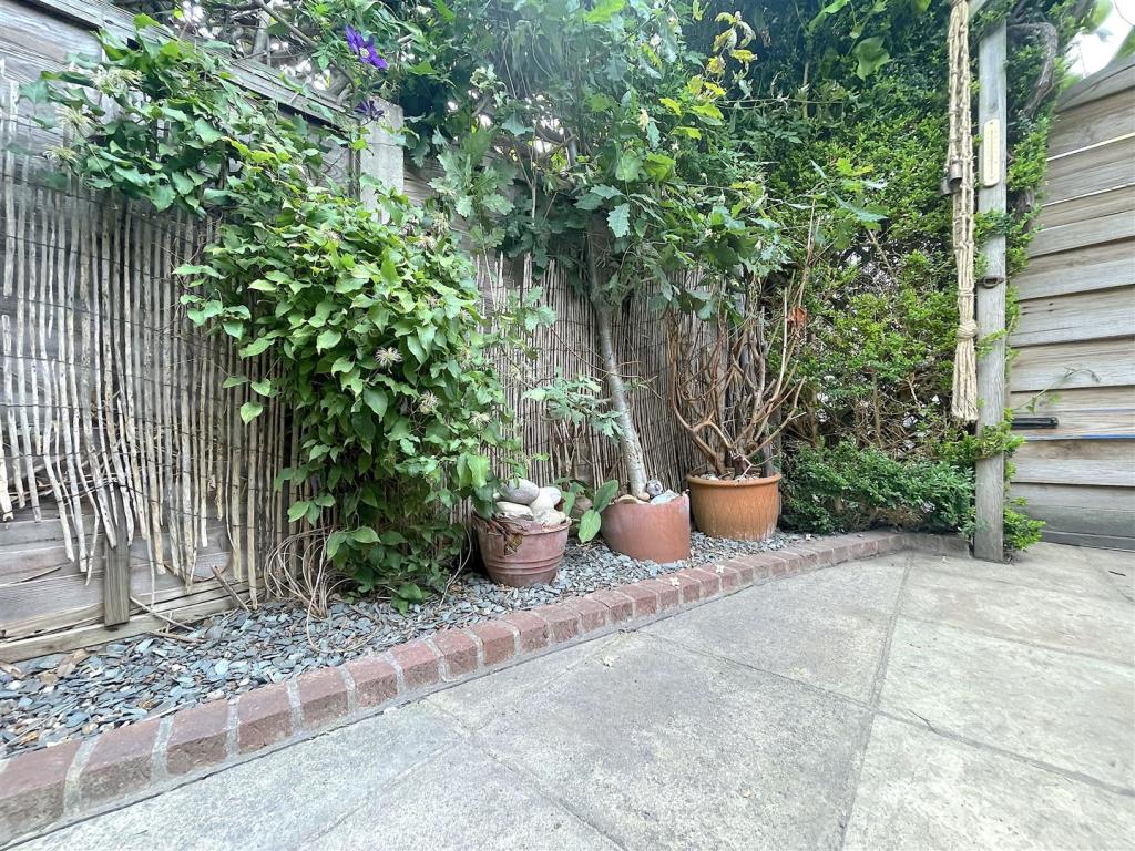 Garden (1).jpeg