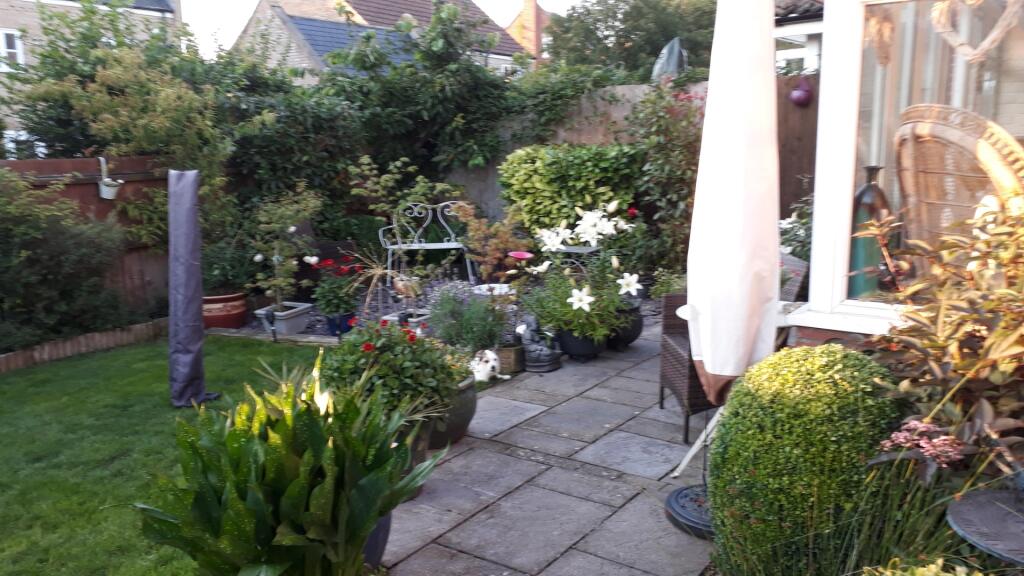 New Garden 3