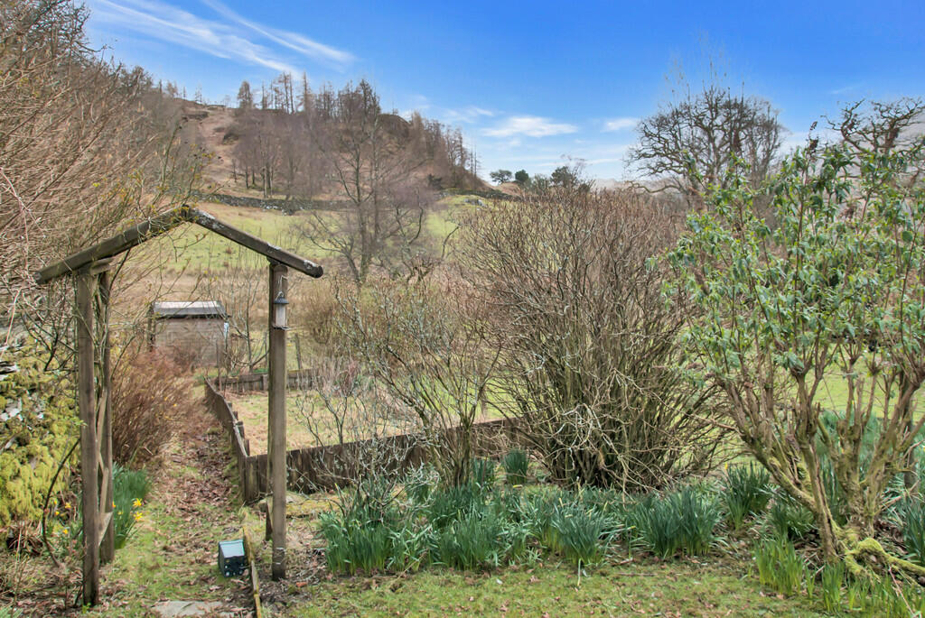Garden and View