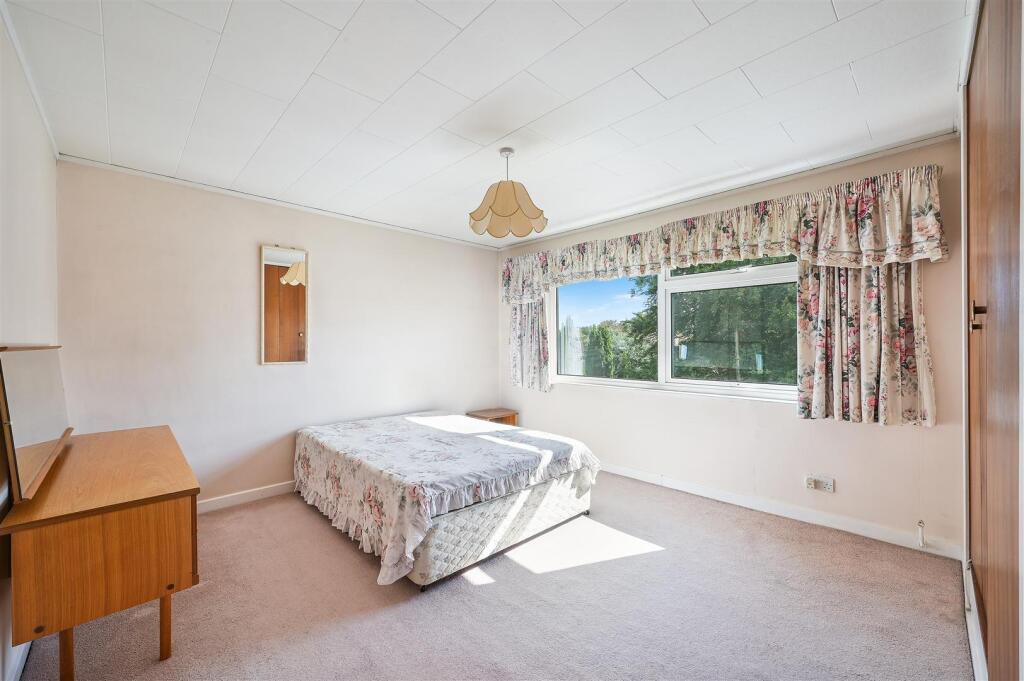 ROSE BUSHES, 15- (14).jpg