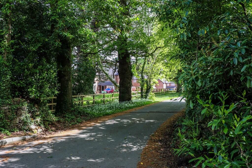 Indio Fields appr...