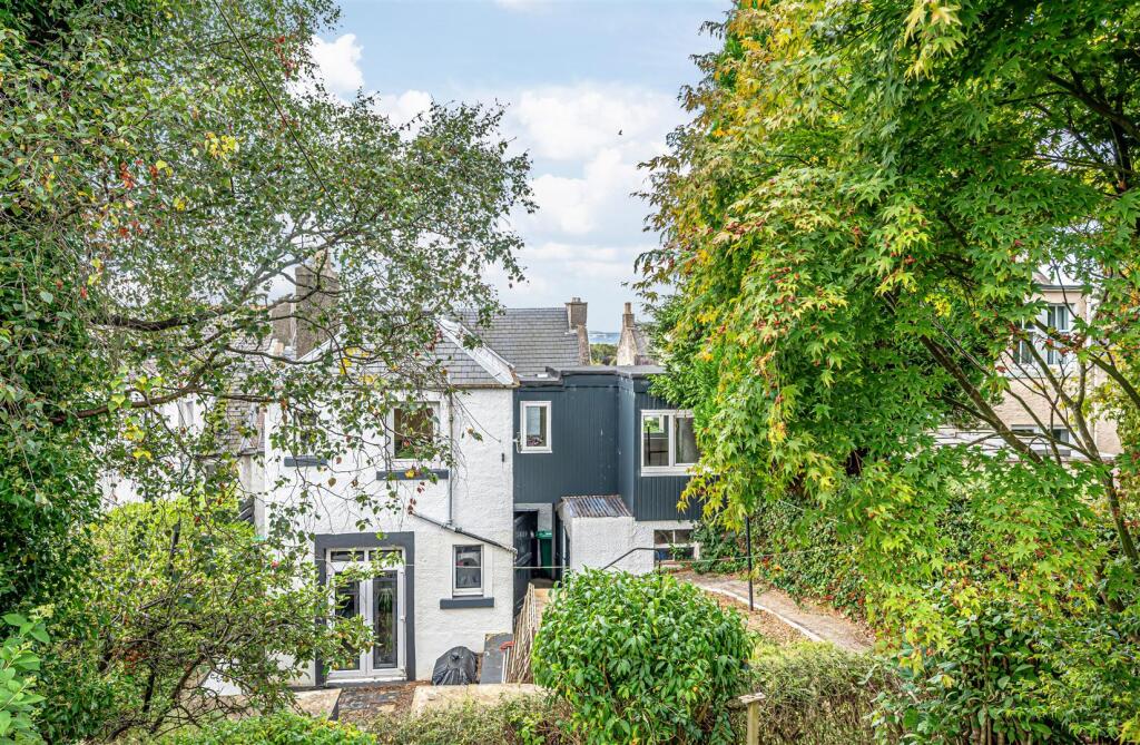 untitled (24 of 1).JPG