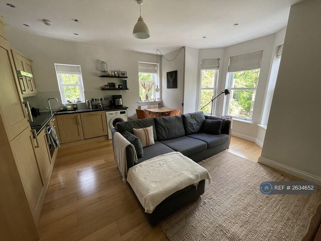 Living Room / Kitchen