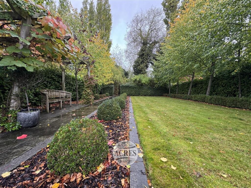 IMG_8363 (Large).jpg