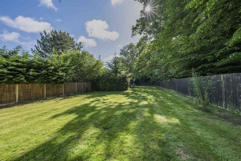 Photo May 30 2025, 9 26 38 AM.JPG