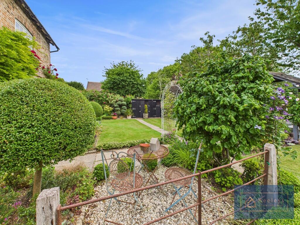 Back garden