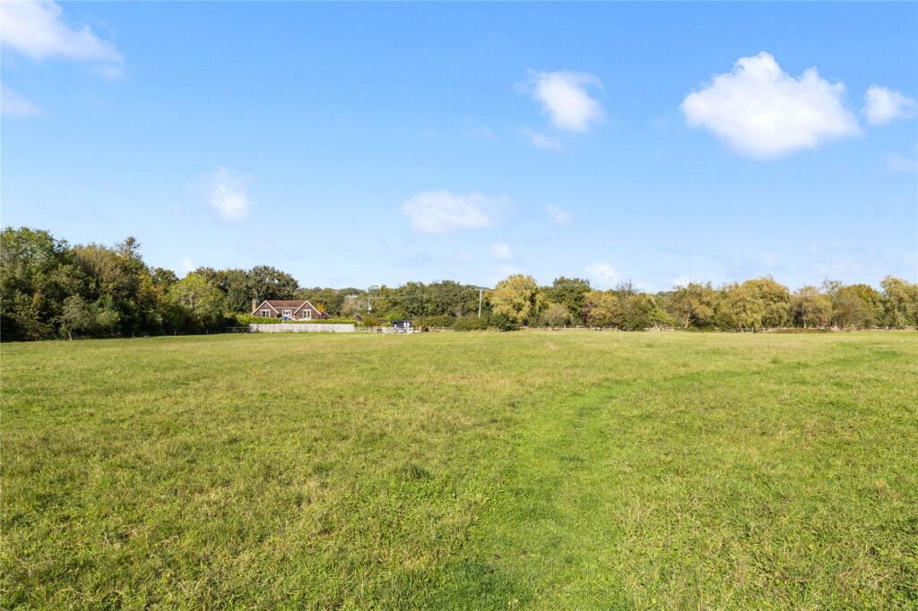 Field
