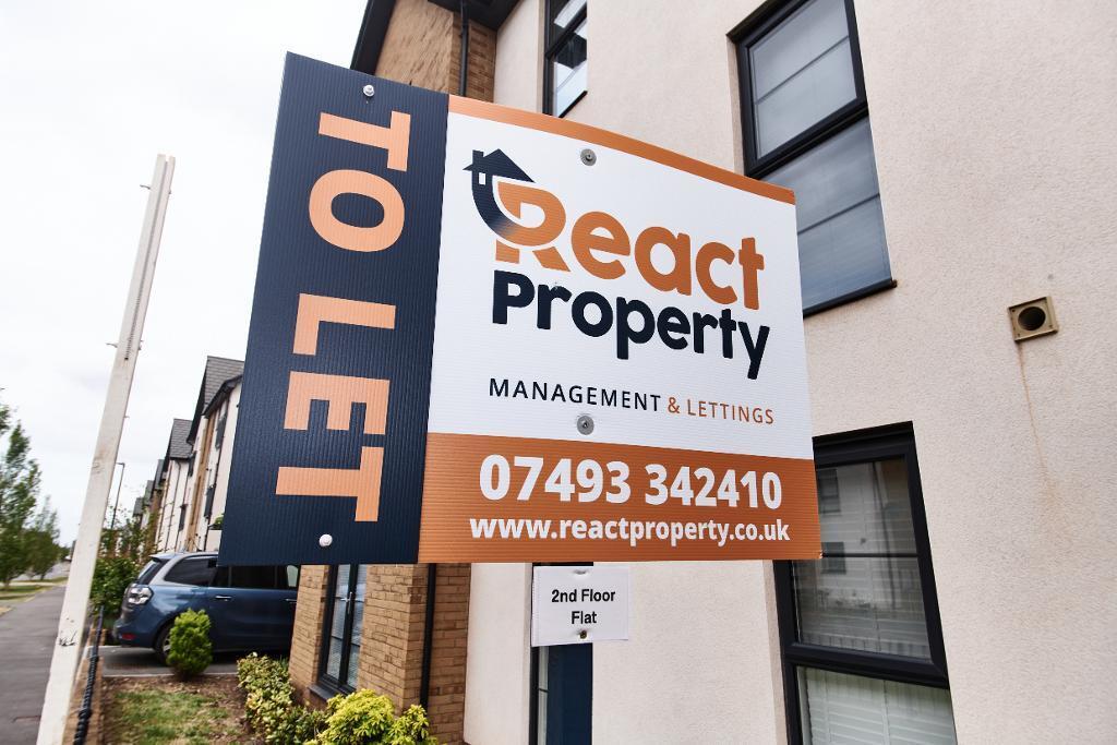 React Property presents