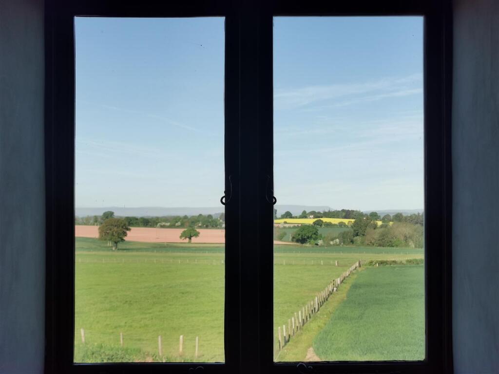 view from living room 2.jpg