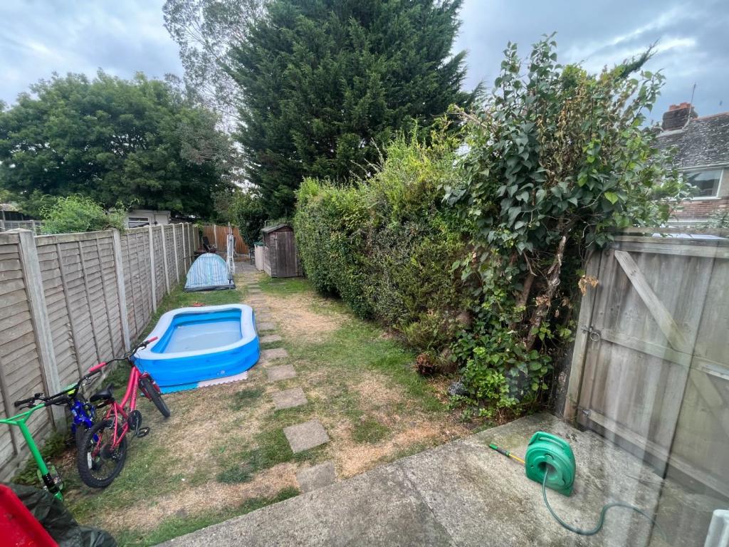 garden.JPG