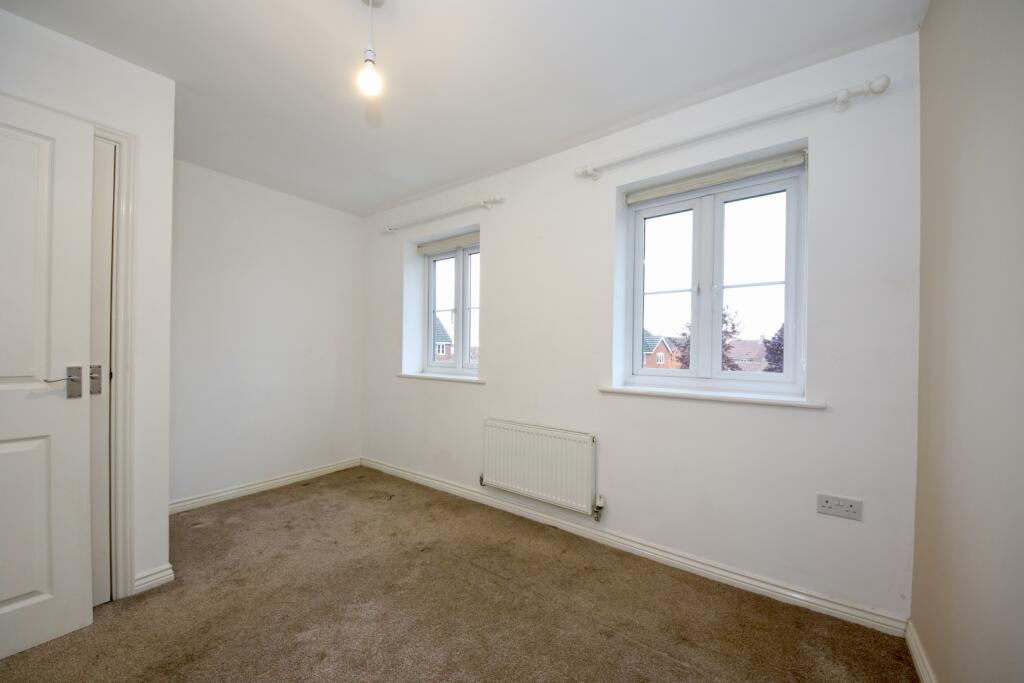 IMAGE 11