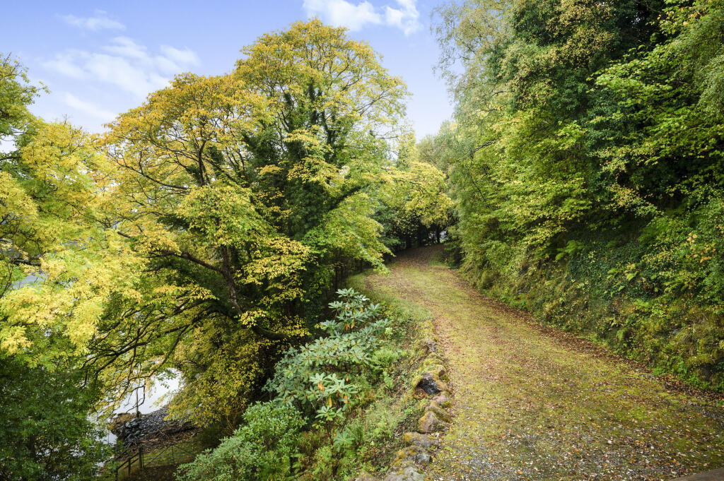 Driveway