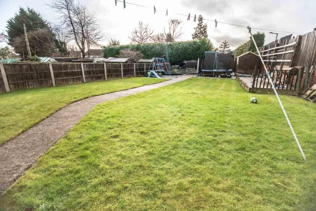 Ted &amp; Tortois...