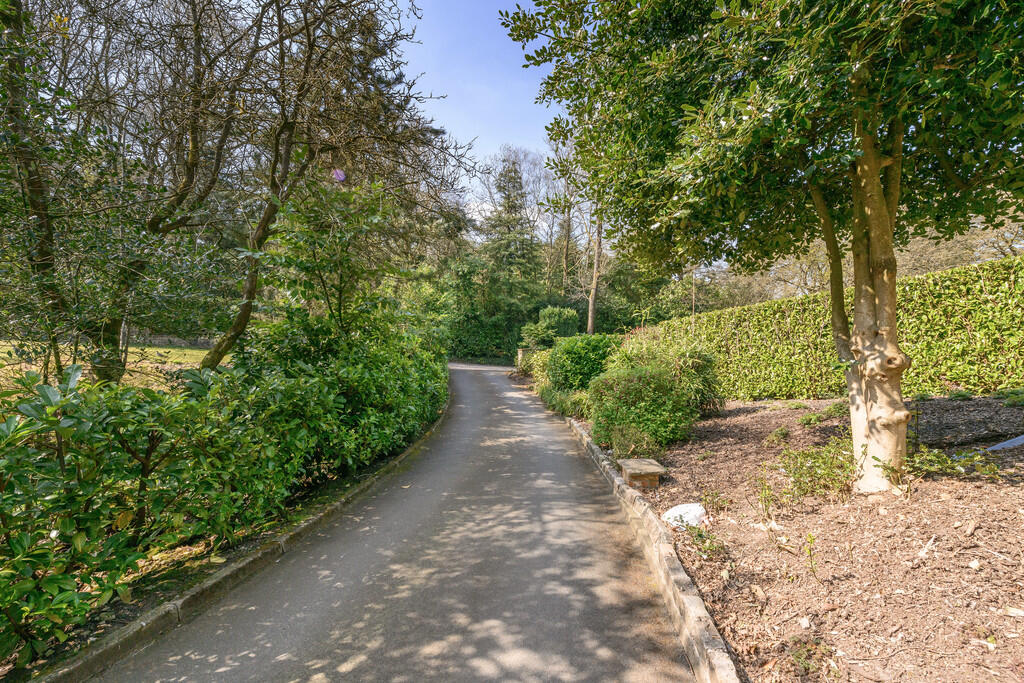 Driveway 2
