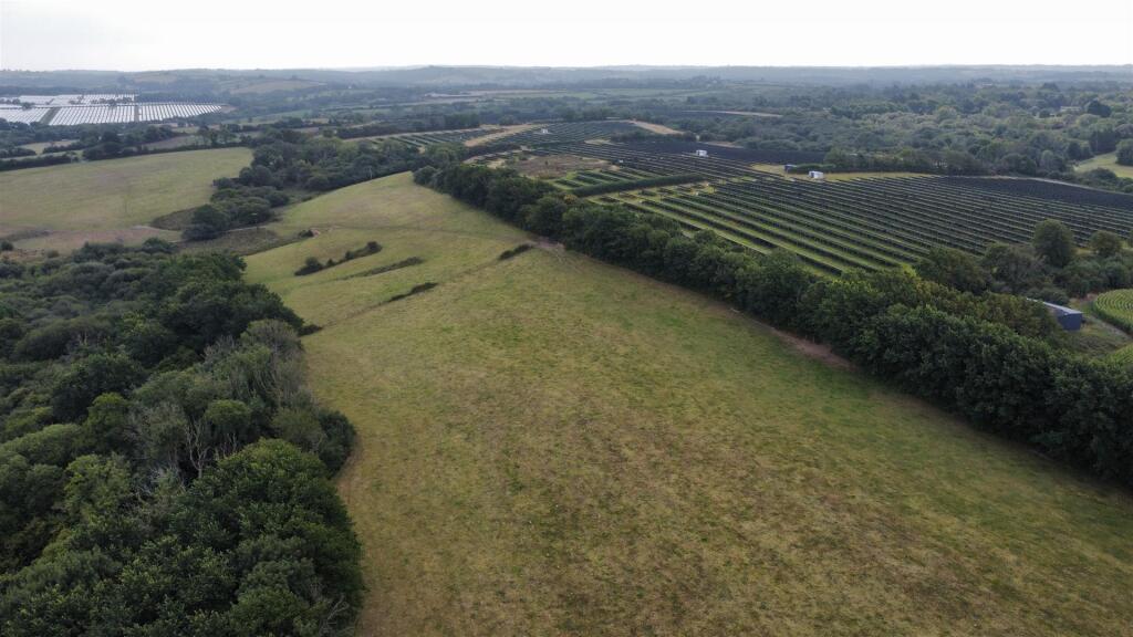 dji_fly_20250811_102740_288_1754904581105_photo_op