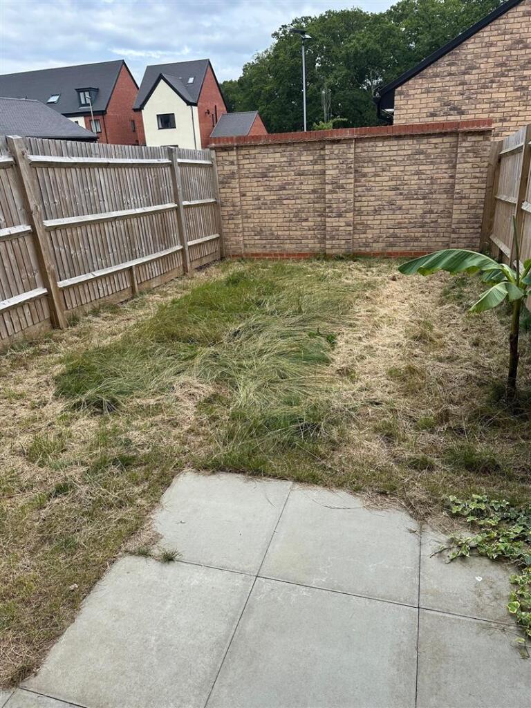 Garden.jpg