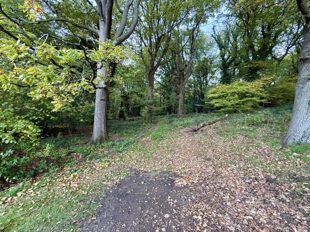 Woodland.jpg