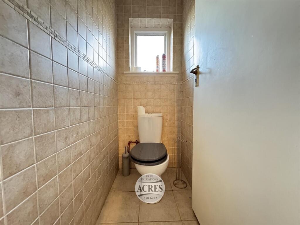 IMG_7294 (Large).jpg