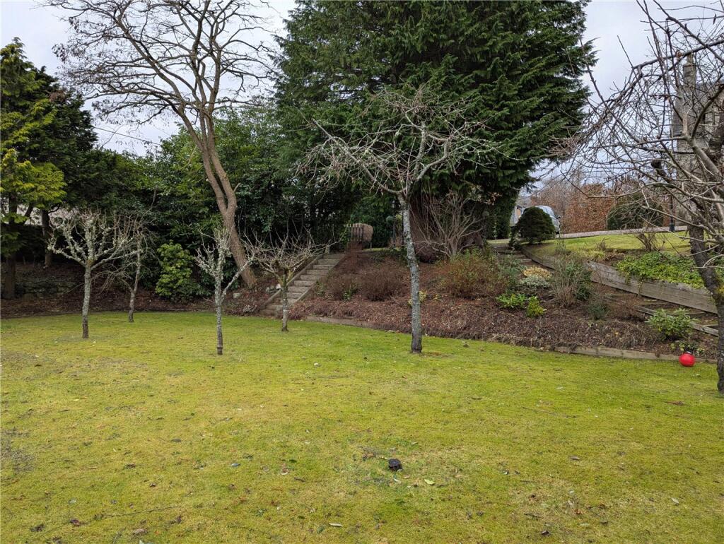 The Orchard Plot