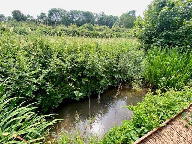 Stream