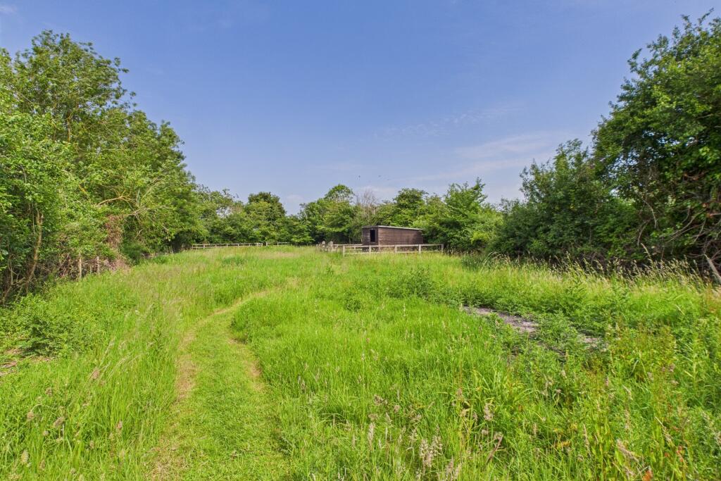 CAM02519G0-PR0298-STILL018