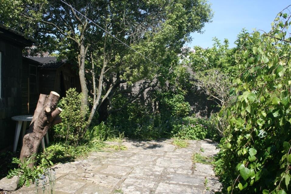 Farthings Cottage, Shaldon - garden