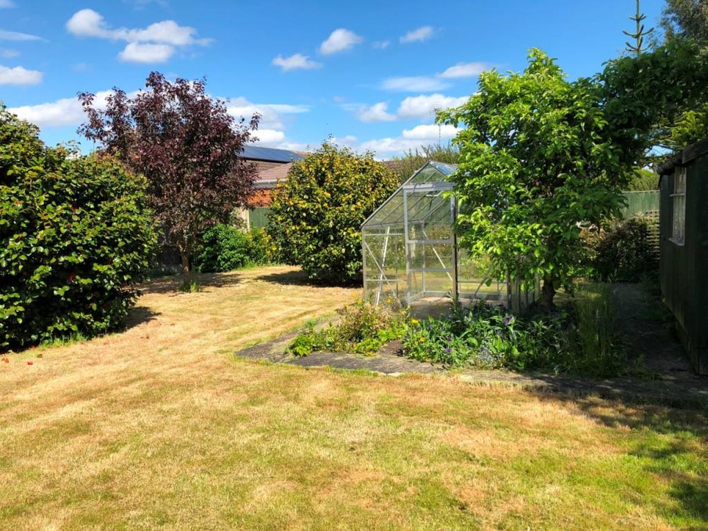 62 Derby- Garden 2.jpeg