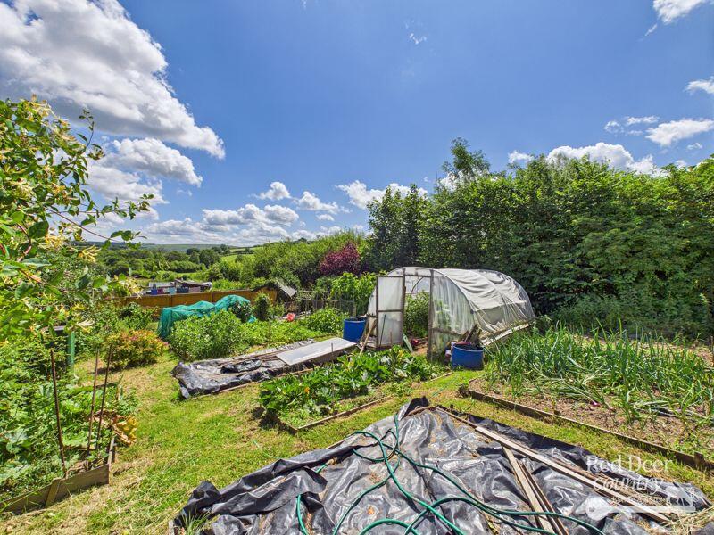 Kitchen Garden