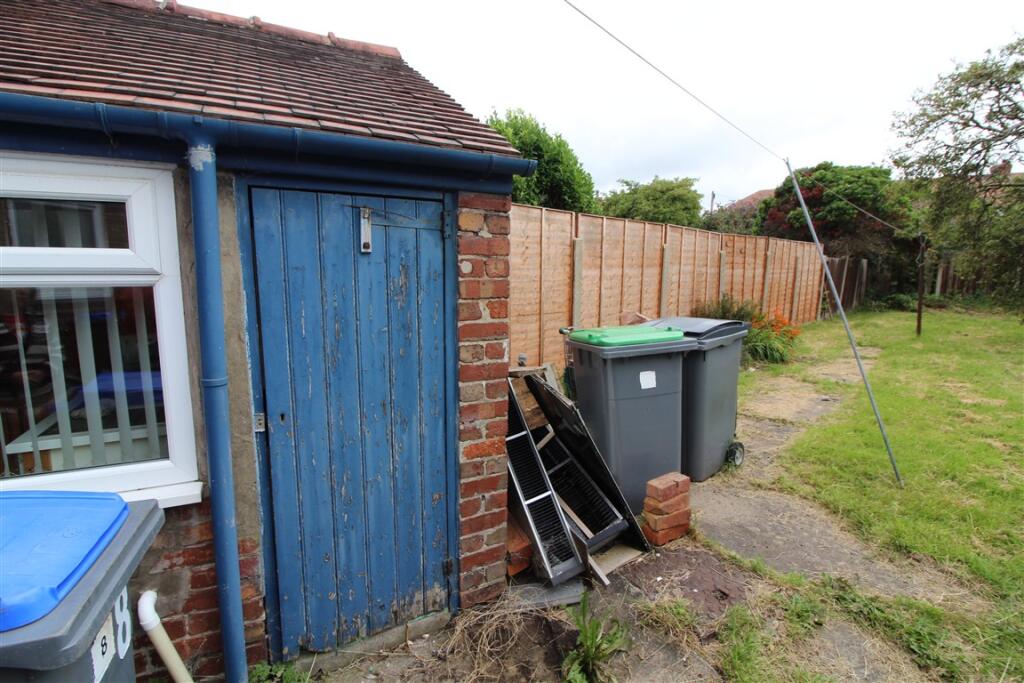 IMG 5924  Medium  T202508011610.jpg