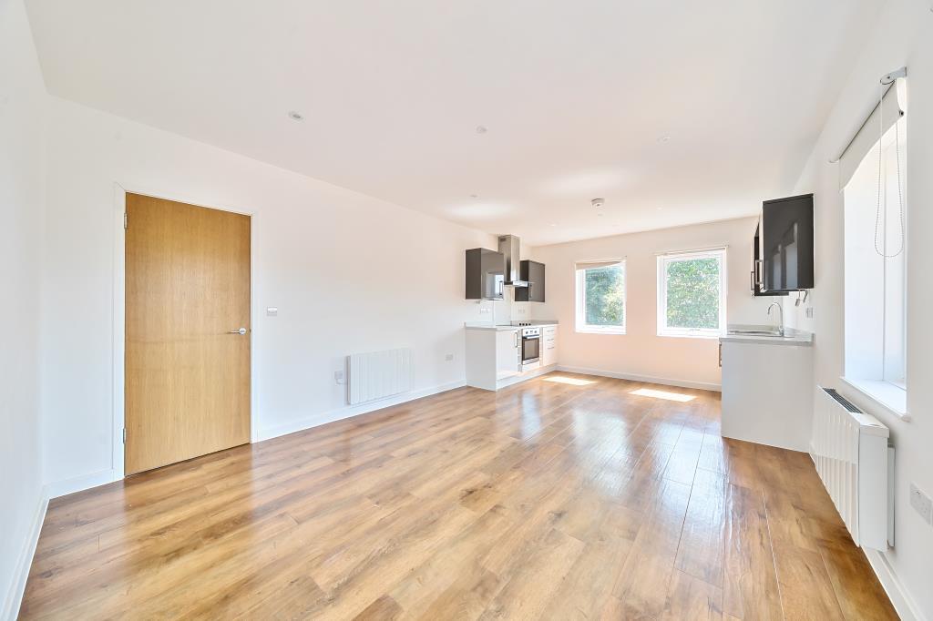 Kitchen and Living Area