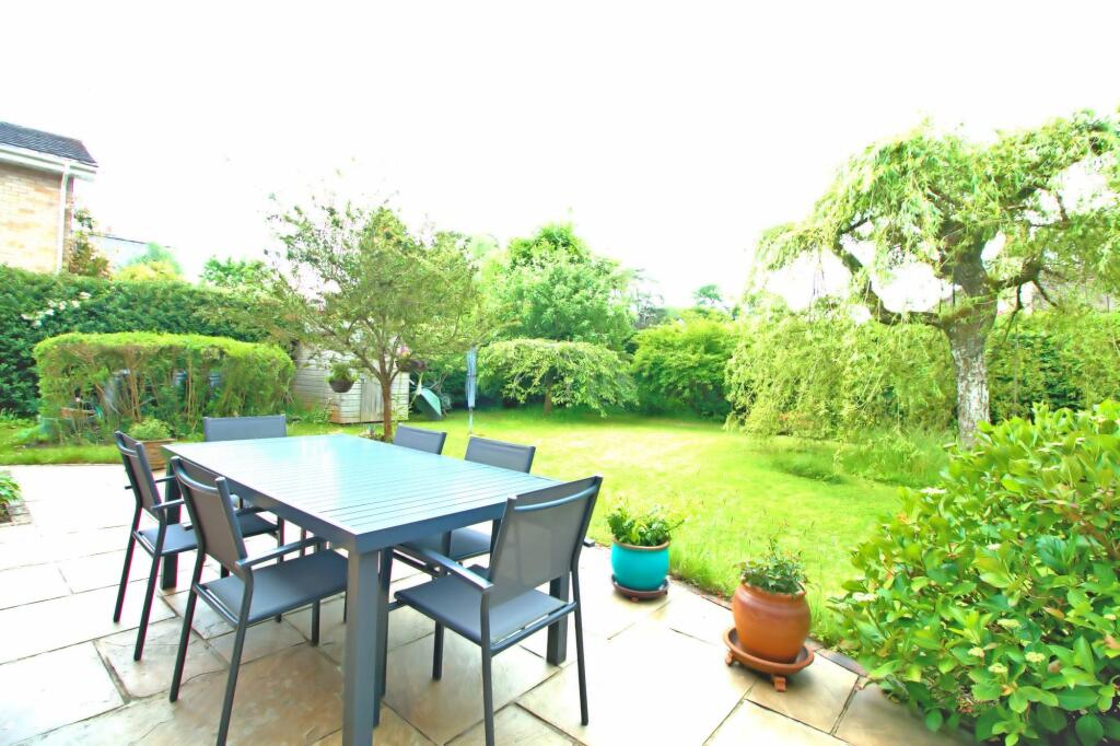 Patio / rear garden