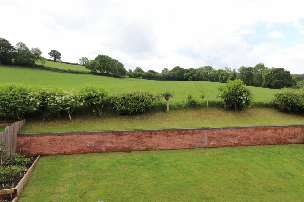 Field Views