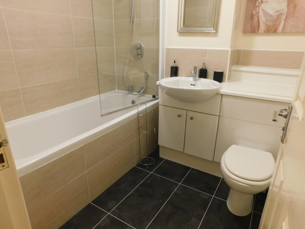 DSCN8015