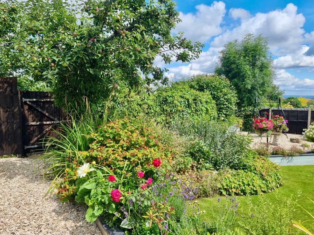 Mature, colourful garden