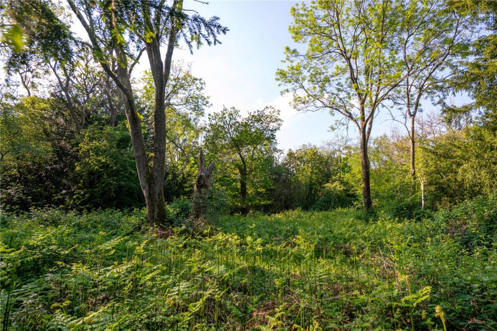 Woodland