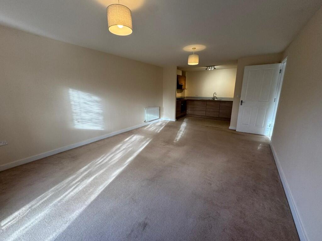 6 T202511281345.jpg