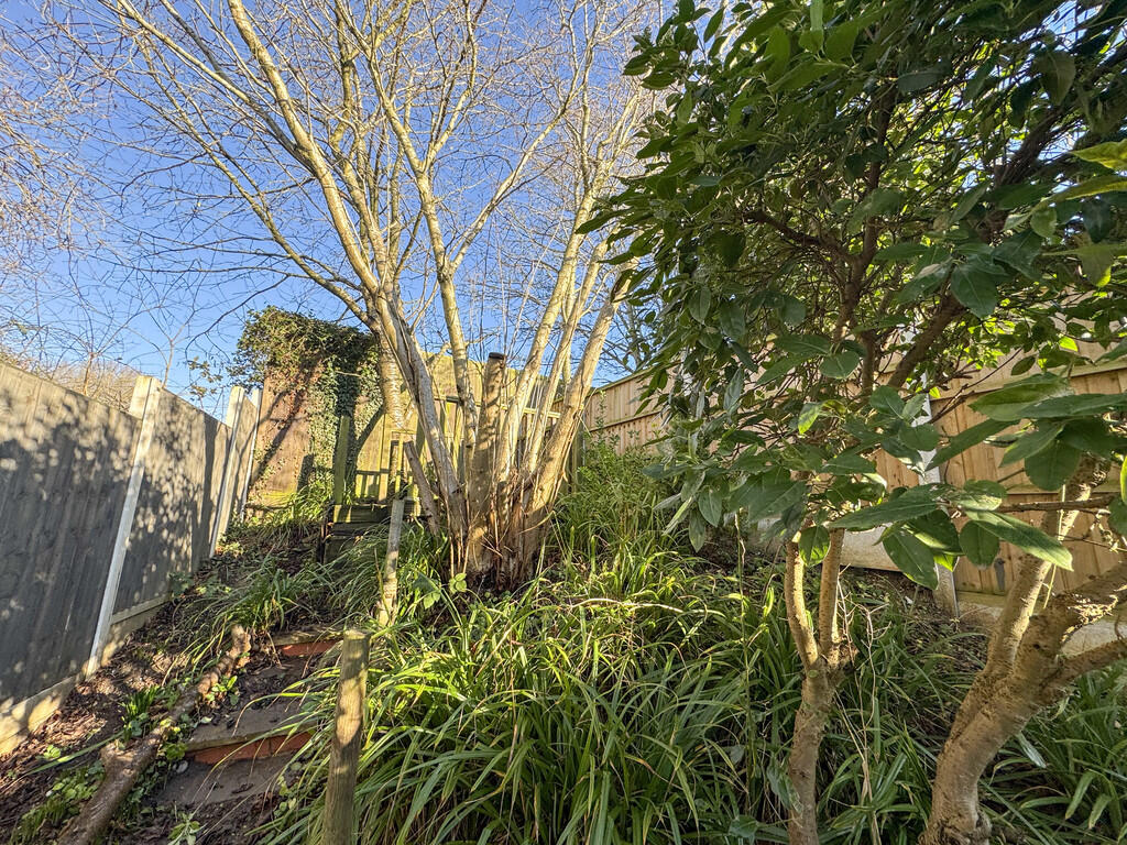 garden back 2