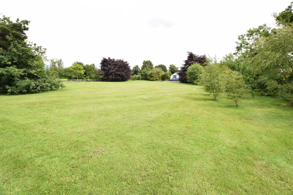 garden and paddock