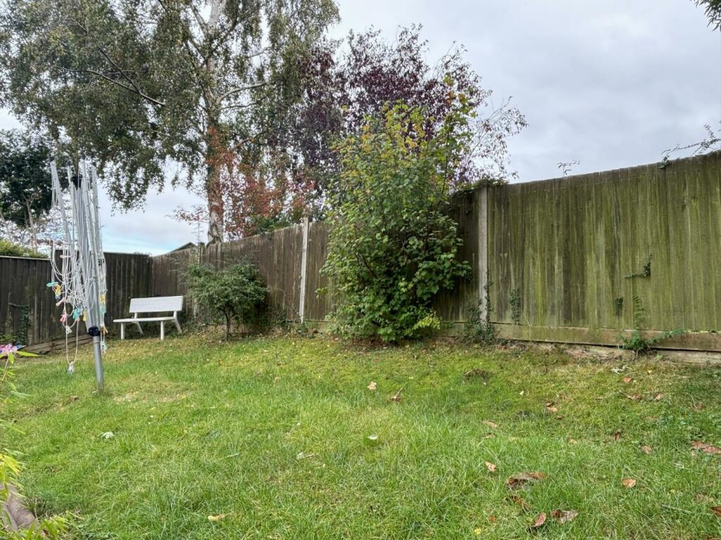Lawn.jpg