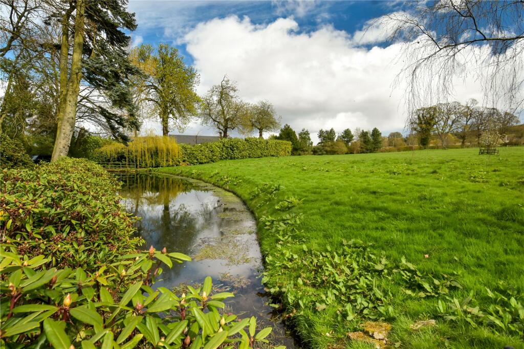 Pond &amp; Field