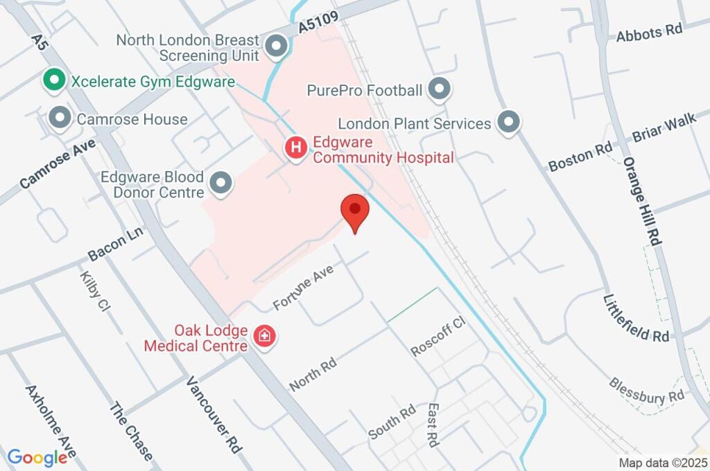 Google Maps Image
