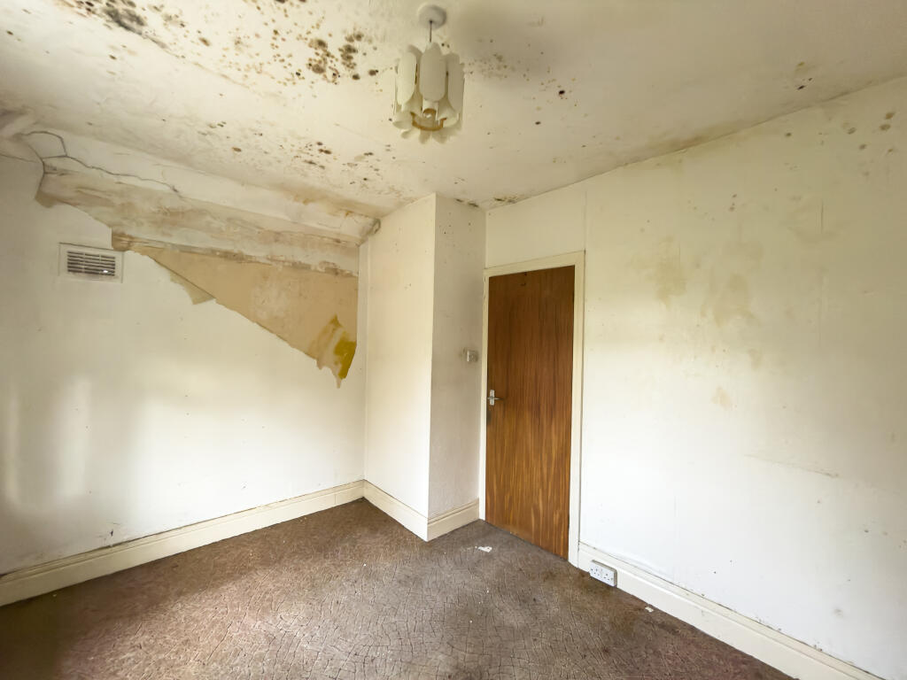 IMG 7068 4 T202511050959.jpg