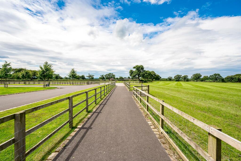 Spine to Paddocks